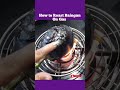 How To Roast Baingan On Gas Stove For Bharta Yummy Bhartha Ytshorts Fyp Newshortvideo Shorts 