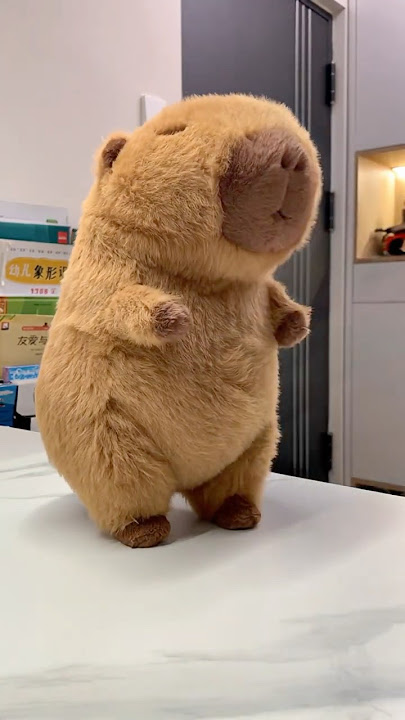 Have you ever seen a capybara bust a move? #capybara #dance #music #cute #capybarasong