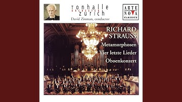 Oboe Concerto in D Major, AV 144/TrV 292: III. Allegro - Vivace