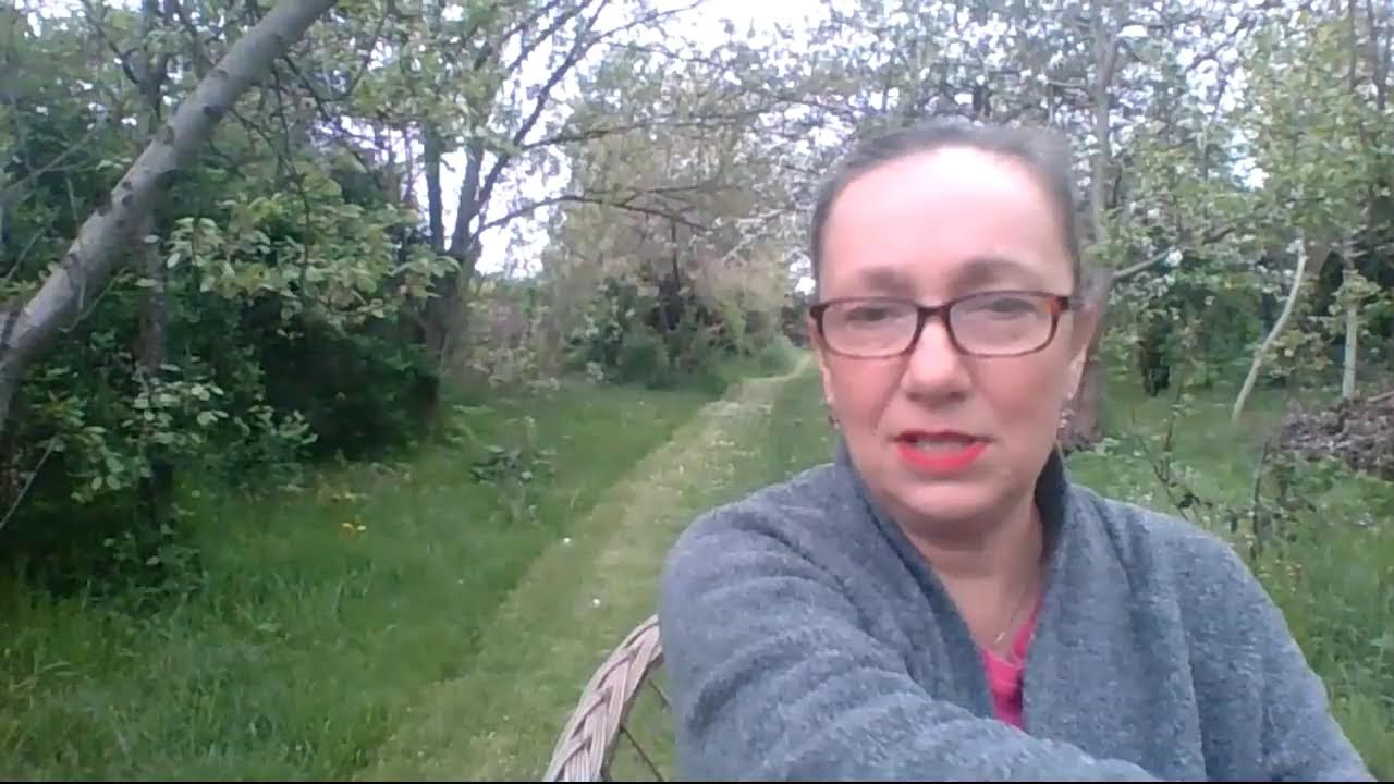 LIVE. Przymiarki razem z widzami do filmu o przegladzie perfum różanych