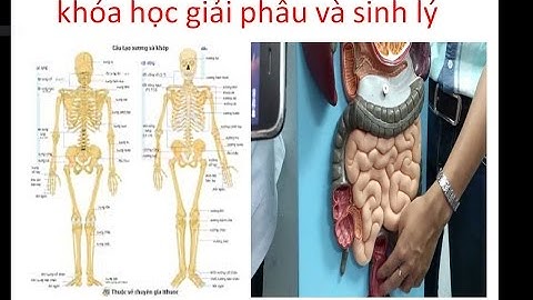 Qúa trình tiêu hóa trong khoang miệng ?