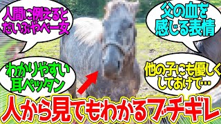 【悲報】マイマイ、キレる…に対するみんなの反応！【競馬 の反応集】