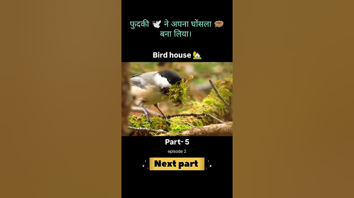 Bird House PART - 5 (2) || नई फुदकी ने अपना घर पूरा बना लिया || #motivation #bird #animals #house