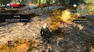 The Witcher 3: Wild Hunt - Gas Cloud Message & Water Hags Combat Gameplay (Guarded Treasure)