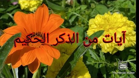 سورة الكهف بصوت القارئ سعود الشريم | surat al kahf أرح قلبك#سورة_الكهف #سعود_الشريم