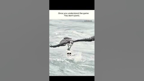 Once you understand the game, you don,t panic #wealthmindset #motivation #shorts