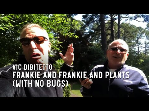 Frankie and Frankie and plants (with no bugs) | VicDiBitetto.net