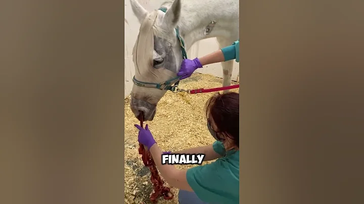 Most people don't know these facts (over 4mins compilation of facts )