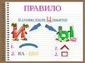 Правописание гласных И-Ы после Ц