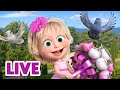 рџ ґ LIVE рџђ рџ Masha Y El Oso 2024 рџђ рџ ёрџЊё ВЎTodo Un DГ A De Episodios Especiales рџЋ рџ ґ LIVE рџђ рџ Masha Y El Oso 2024 рџђ рџ ёрџЊё ВЎTodo Un DГ A De Episodios Especiales рџЋ