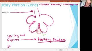 Biology 2020 Chapter 22 Respiratory System: Respiratory Portion (video 4)