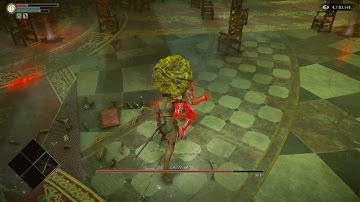 Old Monk SL1 No Roll/Block/Parry, PBWT, Half Hyper, NG+5