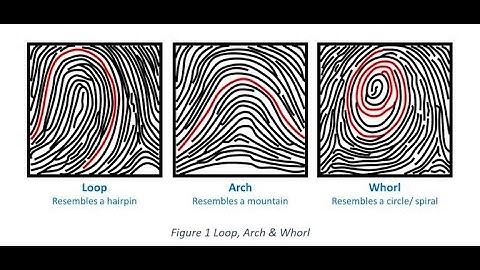 Chapter 16 Fingerprints Lecture Part 2 default