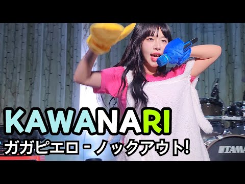 231022 카와나리 (KAWANARI) - ガガピエロ - ノックアウト!