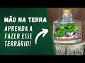 Mo na terra   aprenda a fazer o terrrio dal