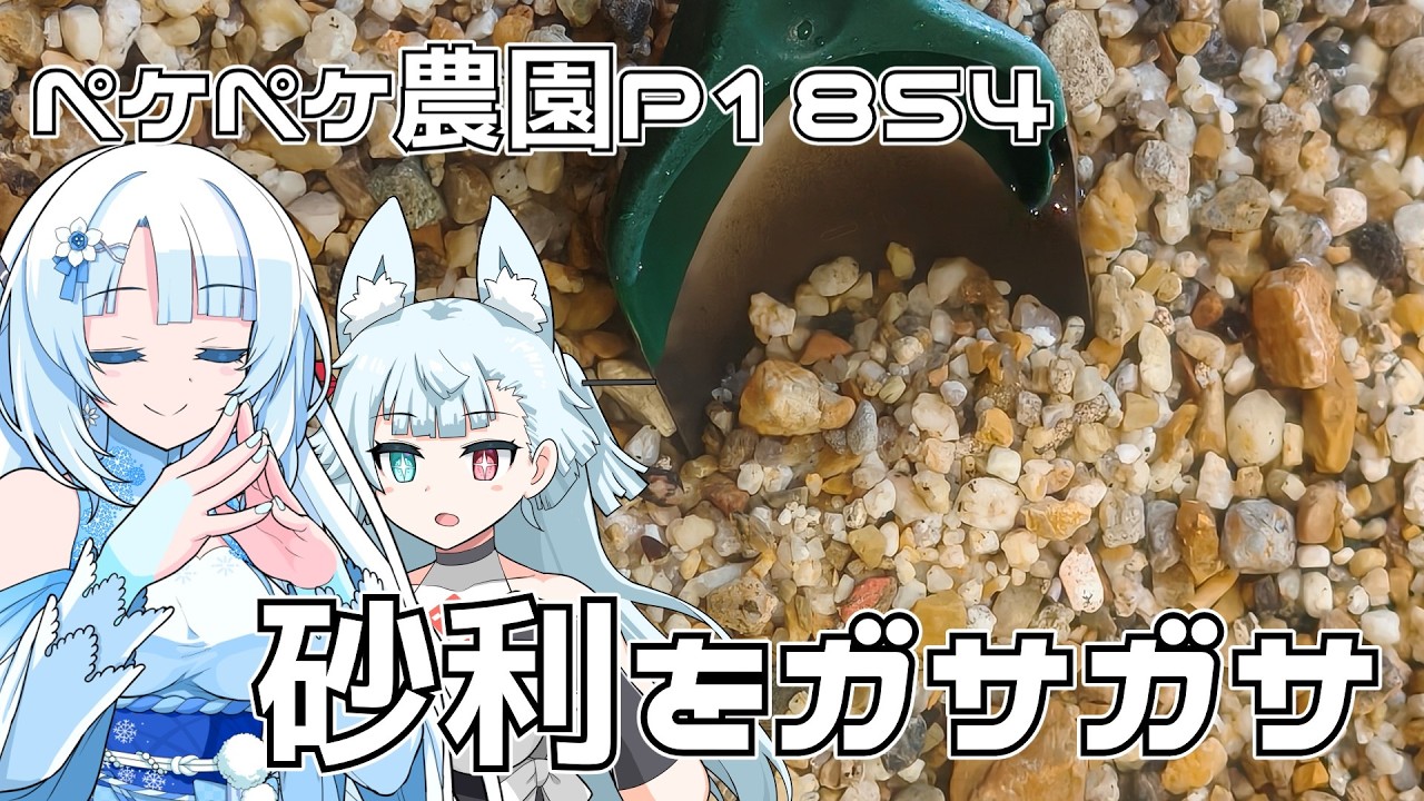 2026年9月19日 日記1854 健康診断とみかん屋さんと奇石博物館で石拾い