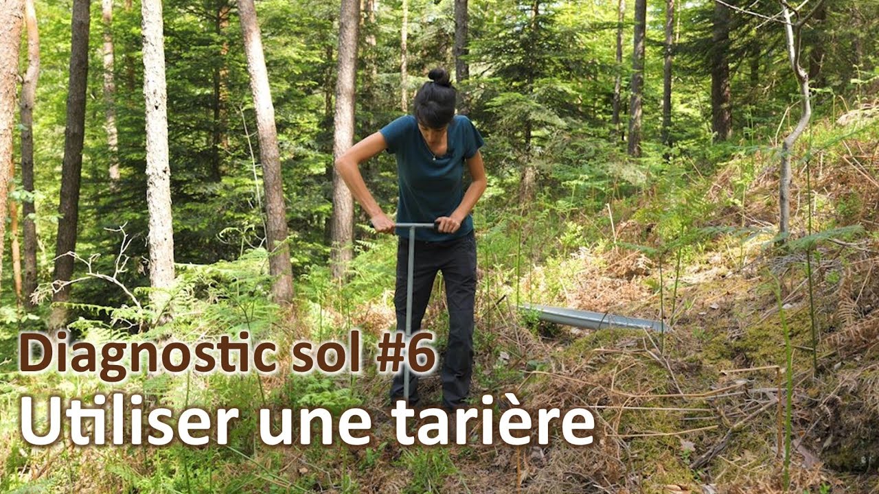 Diagnostic sol #6 | Tarière