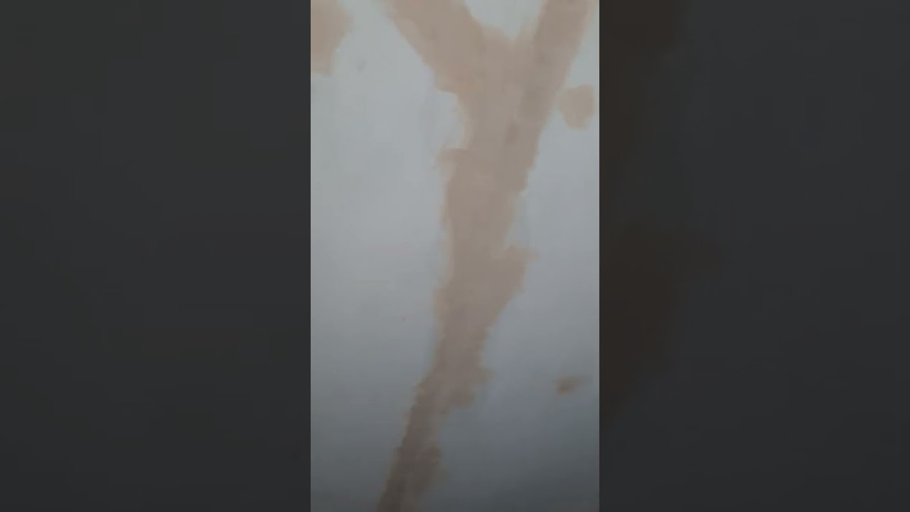 Штукатурка потолка - YouTube