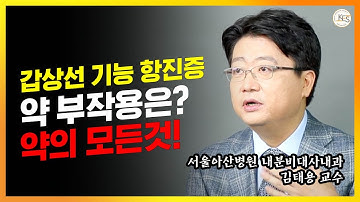 [내 몸의 호르몬 밸런스 -갑상선편] 갑상선약의 A~Z 까지 극한의 디테일을 공개합니다. (2/2)