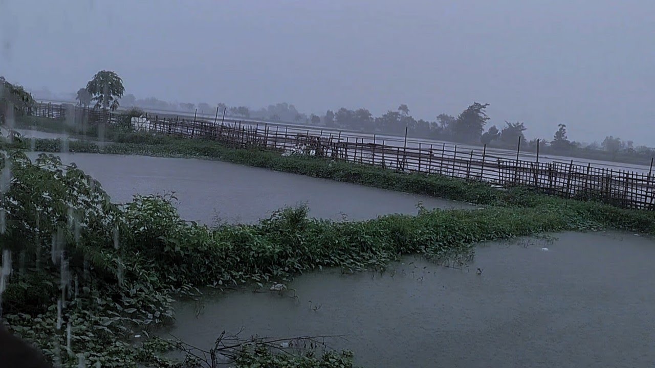 40 Minutes of Calming Rain Sounds 🌧️ ASMR Rain for Deep Sleep & Stress Relief