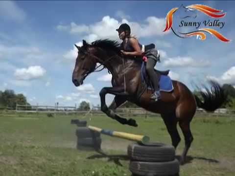 Мой канал