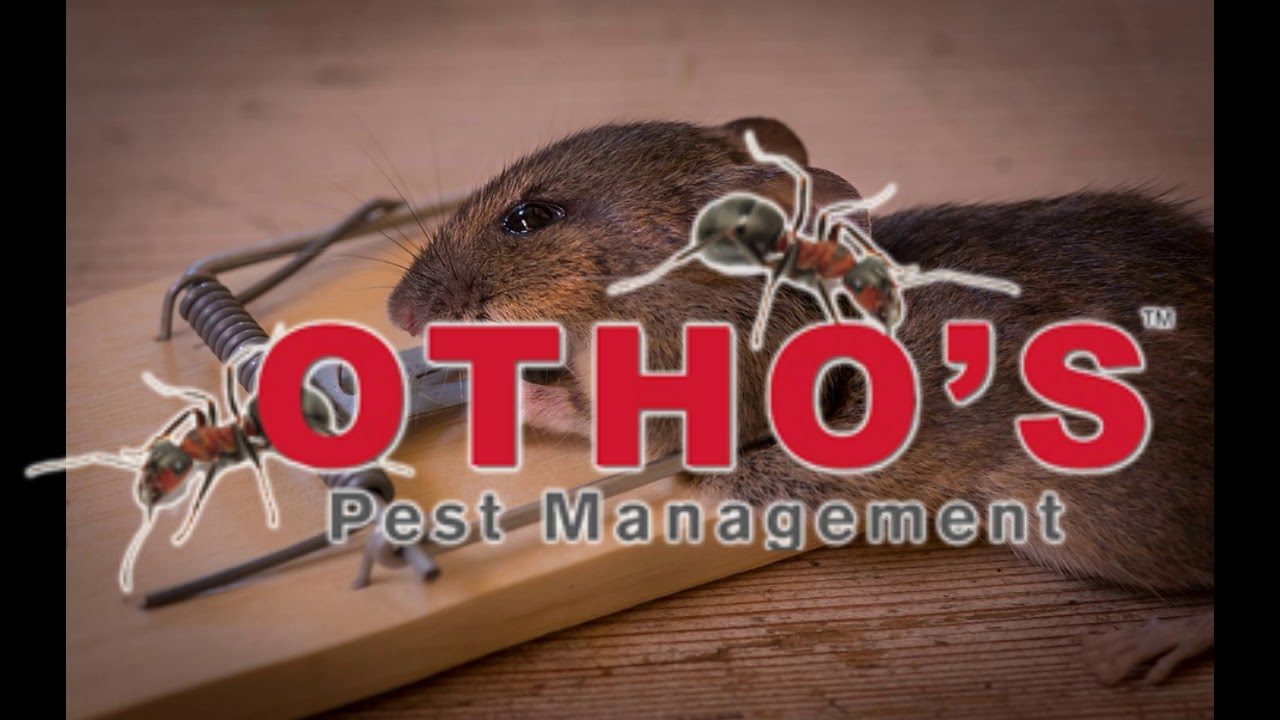 Othos Pest Management Killing Bugs For Over 36 Years! - YouTube