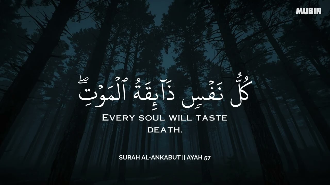 رح سمعك وقلبك بالقرآن❤️🎧 وأستمع لتلاوة هادئه بصوت محمد هشام | راحة نفسية😌 | Mohamed Hesham