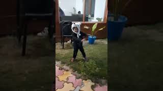 Little Kiwis Masti Time