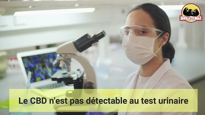 Le CBD détectable au test urinaire: Le CBD est t-il détectable au test urinaire ?