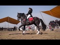 San Andres Metla 2018 concurso de caballos bailadores. De caballos con Fer Trujillo