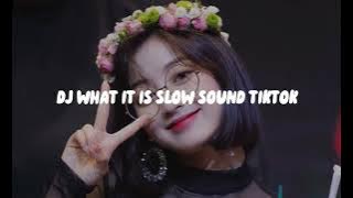 DJ WHAT IT IS SLOW BY ADIT FVNKY RMX SOUND VIRAL TIKTOK