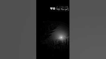قرآن كريم بصوت ماهر المعيقلي حالات واتس أب