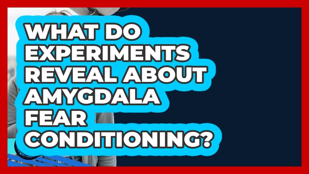 What Do Experiments Reveal About Amygdala Fear Conditioning? - Face Your Phobias
