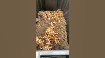 How I get free garden fertilizer | Easy DIY worm composter