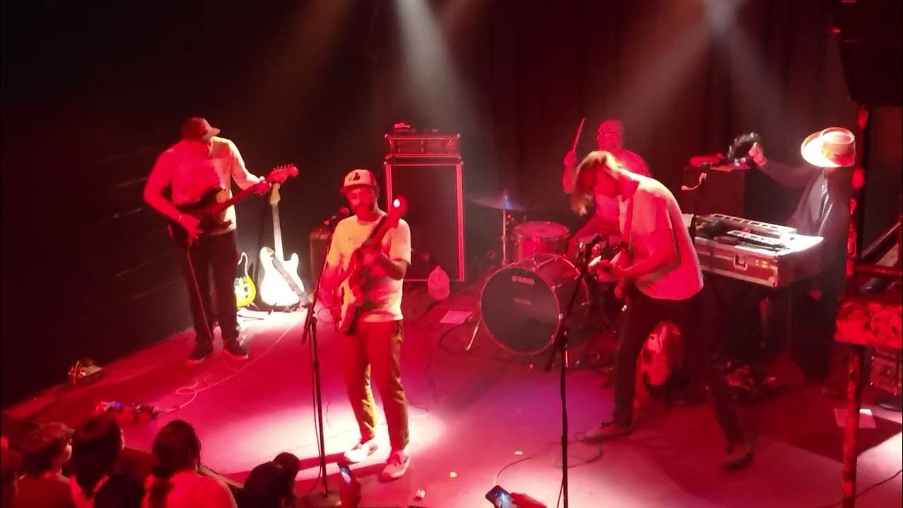 Algernon Cadwallader Parrot Flies (November 18, 2023) YouTube