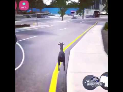 The Velociraptor in Goat Simulator