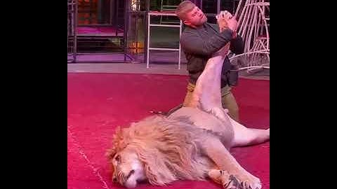 Unbelievable chiropractic adjustment for lion 😱