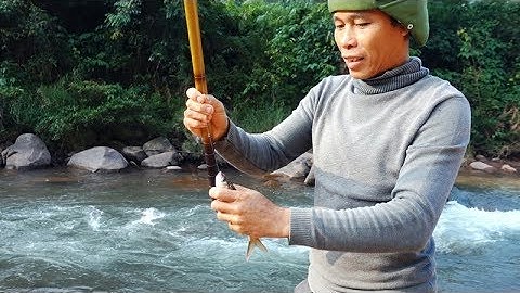 Team CÂU CÁ SUỐI • Tập 6 | Bắt Cá Suối Mùa Đông