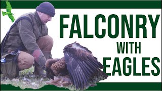 EAGLE FALCONRY