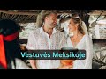 Vestuvト耀 Su ナ Amane Naktis Pablo Escobar Viloje Mexico Tulum Part 3 Vestuvト耀 Su ナ Amane Naktis Pablo Escobar Viloje Mexico Tulum Part 3