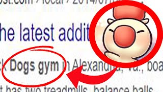 [DFFOO] Updated Mog's Gym