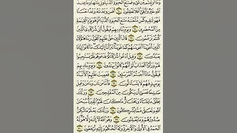 سورة القصص من الآية ٦٠ إلى الآية ٧٠بصوت القارئ ماهر المعيقلي
