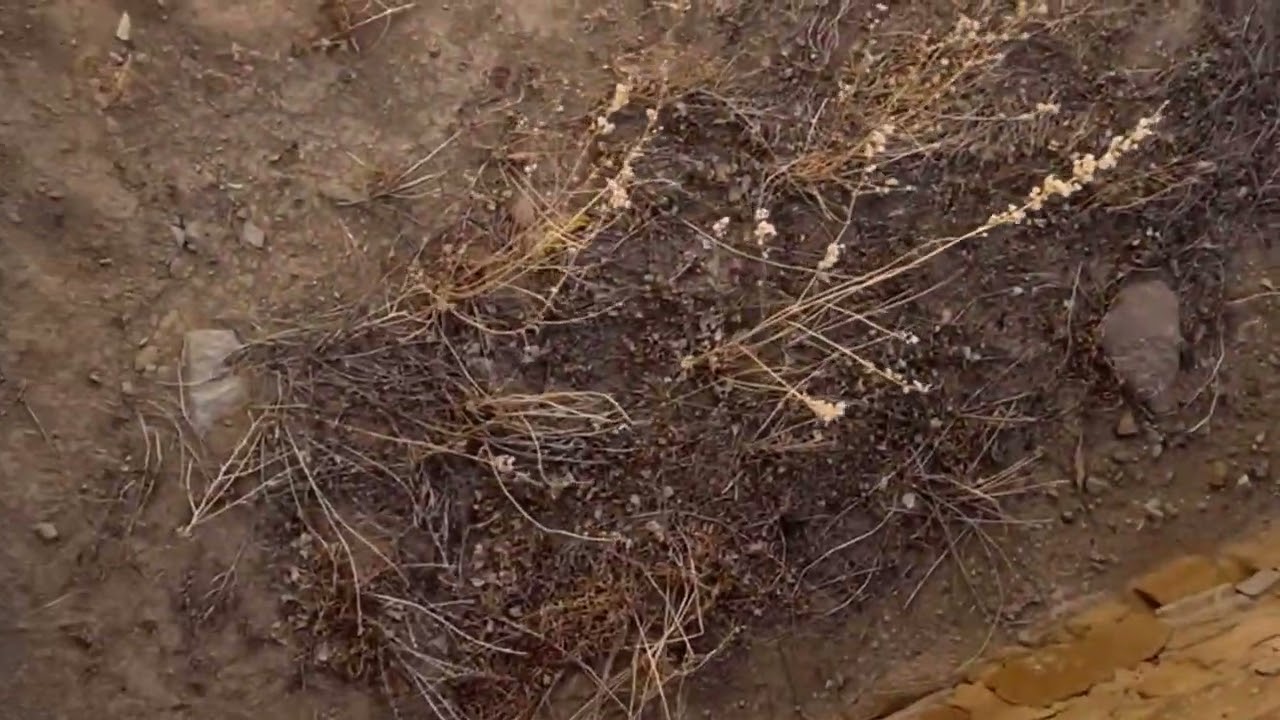 A walk through Pueblo Bonito in Chaco Canyon