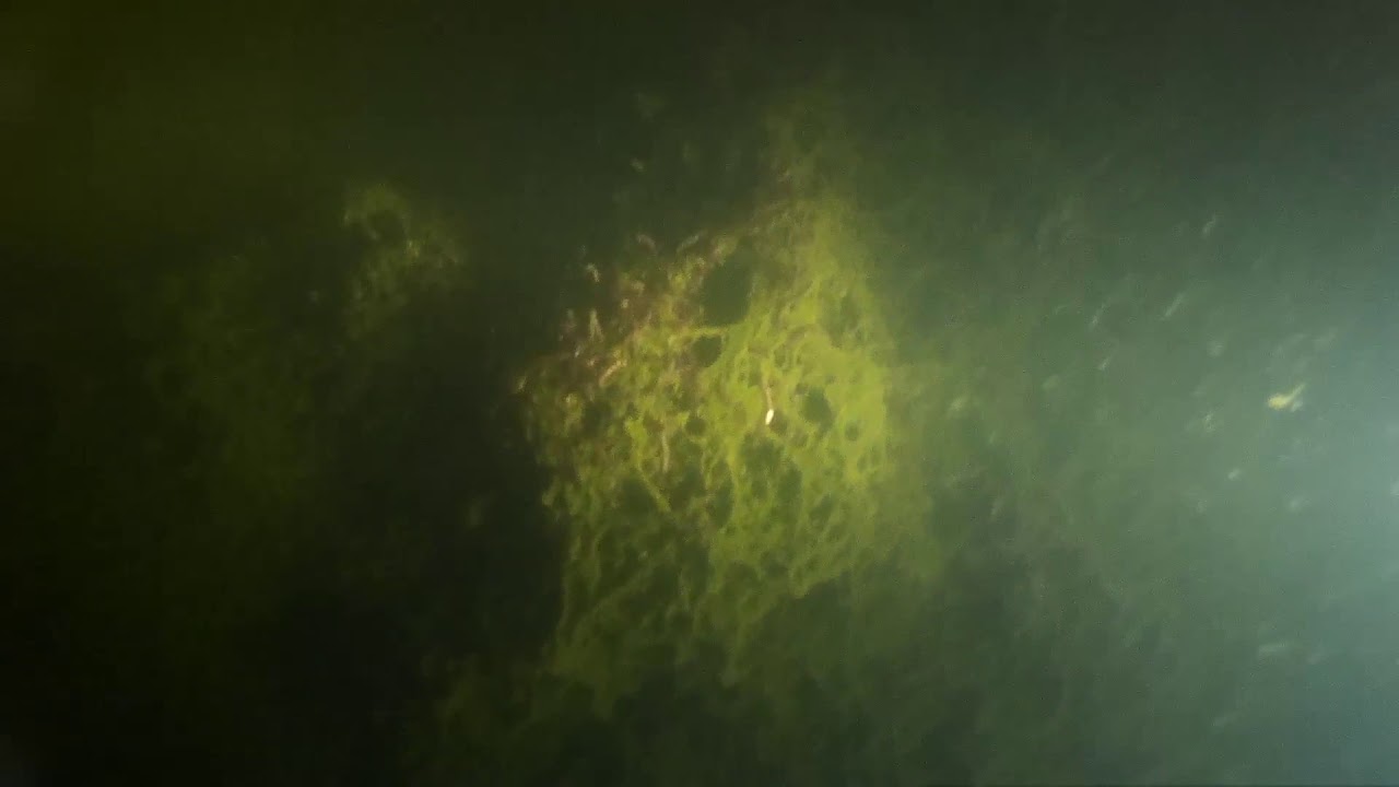 FILMARE TECHIRGHIOL Scafandru