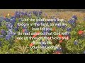 Texas wildflowers love odunmide