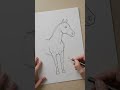 How to draw a horse #learning #horse#drawing #drawingtutorial #drawings