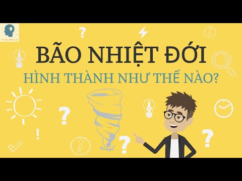 តើព្យុះត្រូពិកត្រូវបានបង្កើតឡើងយ៉ាងដូចម្តេច?