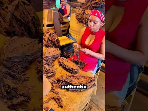 Why Cigars Are Cut Before Smoking?