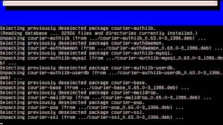setting DHCP PROXY SERVER by Niko Astianto