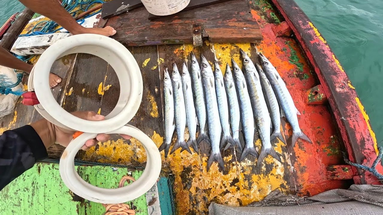 PESCA RAIZ COM LINHA DE MÃO NO PORTO DOS BARCOS ( DIEGO PESCADOR AMADOR) 